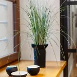 Bracka No 3-5 Apartman