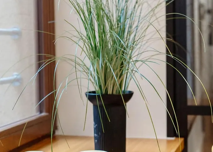 Bracka No 3-5 Apartament